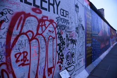 DSC_1799 (Large).JPG